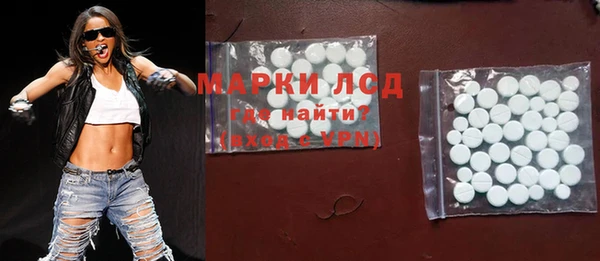 дживик Новозыбков