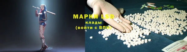 сатива Балахна