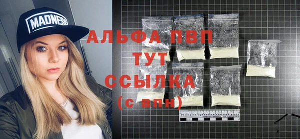 сатива Балахна