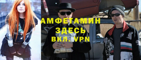 прущие грибы Няндома